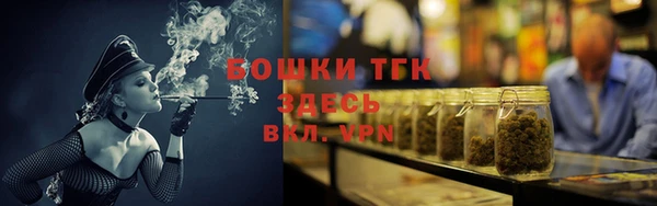 индика Бронницы