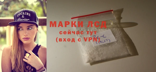 стаф Богородск