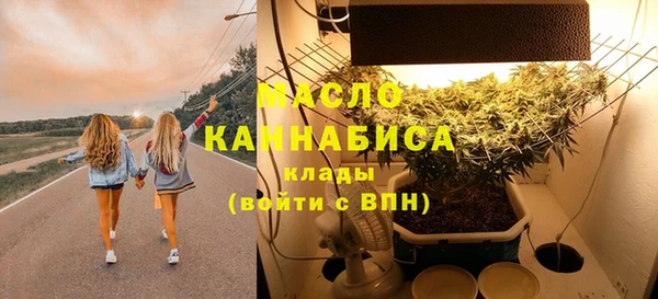 первитин Богданович