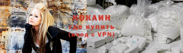 стаф Богородск