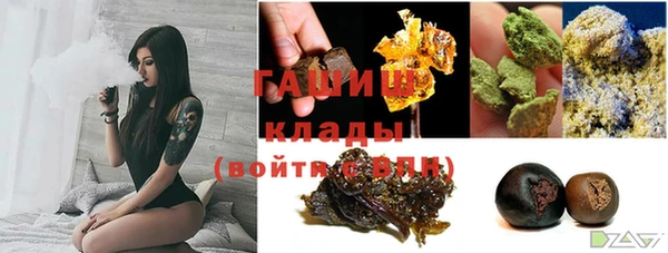 дмт Бородино