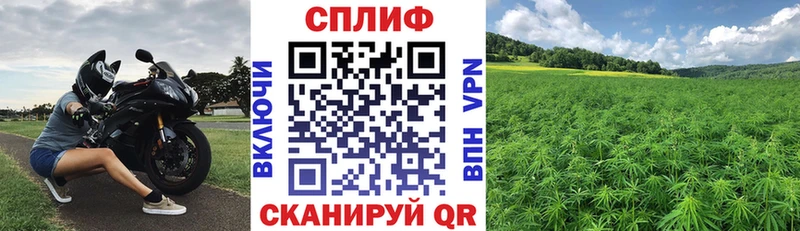 Бошки Шишки сатива  Орск 